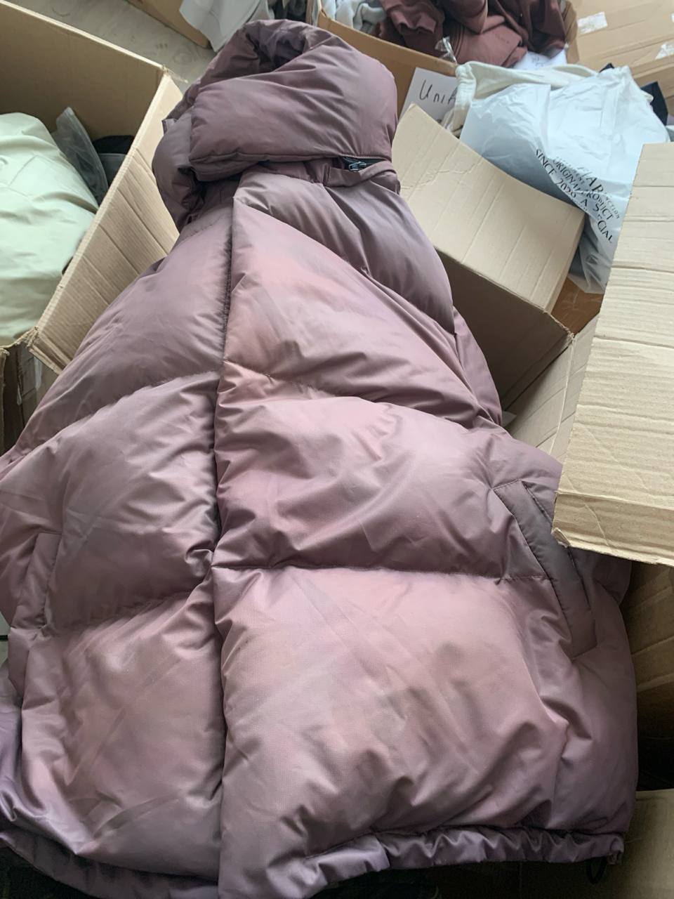 

GS Пуховик Purple FABLE, Фиолетовый, DROP 1