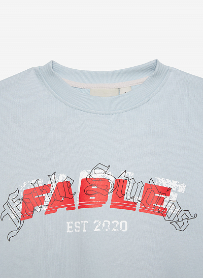 Свитшот FABLE PROTOTYPE (Blue)