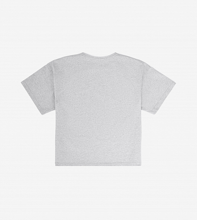 Футболка FABLE ICALMATE (Grey)