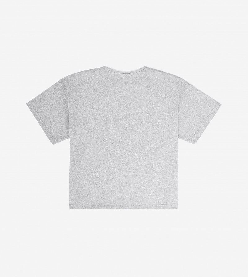 Футболка FABLE ICALMATE (Grey)