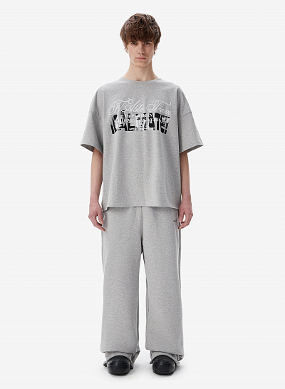 Футболка FABLE ICALMATE (Grey)