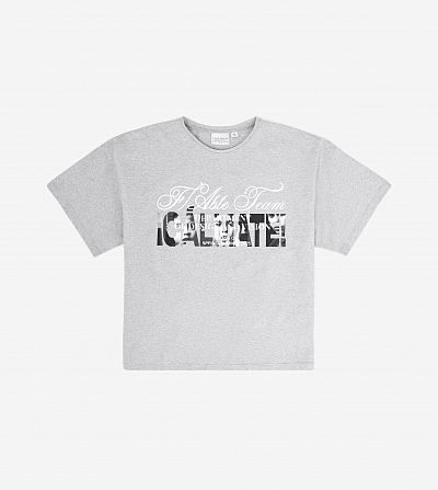 Футболка FABLE ICALMATE (Grey)