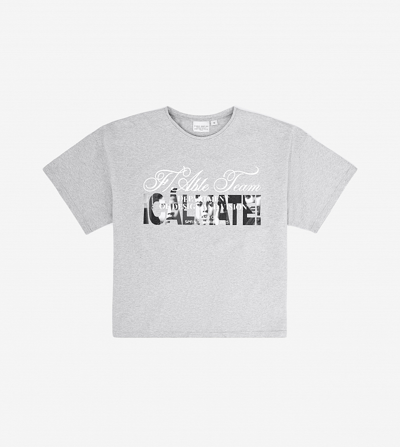 Футболка FABLE ICALMATE (Grey)