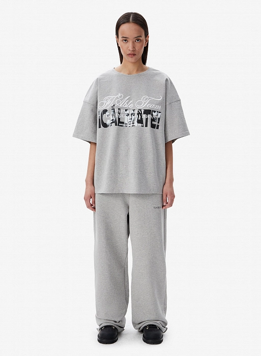 Футболка FABLE ICALMATE (Grey)